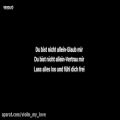 عکس آهنگ آلمانی Du bist nicht allein (تو تنها نیستی) از الکس