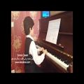 عکس گل پامچال سروش داوری ایران پیانو iranpiano