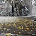 عکس #کلیپ موزیک بابک جهانبخش - برف با کیفیت عالی