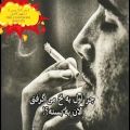 عکس سیگار کلیپی از شاه صدا بهمن فاضلی