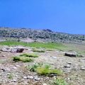 عکس طبیعت گهگلویه دیشموک (کوه دل افروز )بهار ۱۳۹۸ موقع جاشیر زدن