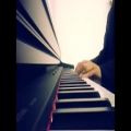 عکس Shabe mahtab - iranian piano song