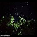 عکس موزیک ویدیو شبی که ماه کامل شد با کیفیت Full HD