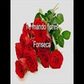 عکس Te Mando Flores; Lyrics - Fonseca - متن ترانه برایت گُل می فرستم، فونسِکا