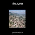 عکس Birol Yıldırım - Mevlana (Official Audio)