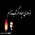 عکس تصنیف زیبای صیاد - علیرضا افتخاری
