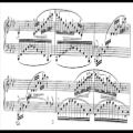 عکس Sergei Bortkiewicz - Etude, Op. 10 No. 3 Fontaine lumineuse