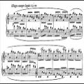 عکس Franz Liszt - Etude S. 136 No. 3 (audio + sheet music)