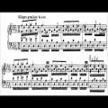 عکس Franz Liszt - Etude S. 136 No. 11 (audio + sheet music)