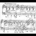 عکس Chopin-Godowsky - Concert Paraphrase on Grande valse brillante