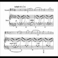عکس Aleksandr Glazunov - Elegy for cello and piano Op. 17 (audio + sheet music)