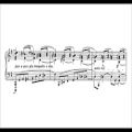 عکس Leopold Godowsky - Piano Sonata (audio + sheet music)