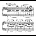 عکس Sergei Lyapunov - Variations and Fugue on a Russian Theme Op. 49 (GS