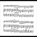 عکس Aleksandr Glazunov - Elegie for viola and piano Op. 44 (GSARCI VIDEO REVIVAL)