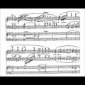 عکس Reynaldo Hahn - Piano Concerto (audio + sheet music)