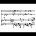 عکس Hans Pfitzner - Piano Concerto Op. 31 (audio + sheet music)