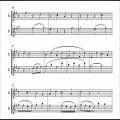 عکس Ludwig van Beethoven - Duo for two flutes WoO 26 (VIDEO REQUEST)