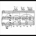 عکس Charles-Valentin Alkan - Nocturne Op. 60bis Le grillon (audio + sheet music)