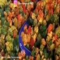 عکس کلیپ زیبای پاییز با صدای احسان خواجه امیری
