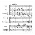 عکس Richard Strauss - Serenade for wind ensemble Op. 7 (audio + sheet music)