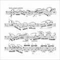 عکس Eugène Ysaÿe - Sonata for solo cello Op. 28 (audio + sheet music)