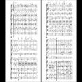 عکس Oskar Nedbal - Scherzo-Caprice for orchestra Op. 5 (audio + sheet music)