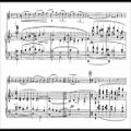 عکس Reynaldo Hahn - Violin Concerto in D major (audio + sheet music)