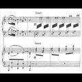 عکس Saint-Saëns-Debussy - Introduction and rondo capriccioso for two p