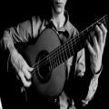 عکس grisha goryachev, flamenco guitar