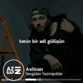 عکس Aslıxan - Sevgidən Yazmayıblar