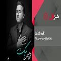 عکس Shahrooz Habibi - Labbayk ( شهروز حبیبی - لبیک )