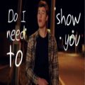 عکس Shawn Mendes - Show You