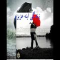 عکس نماهنگ زیبا از حسن حسینی