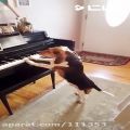 عکس سگ آوازه خوان و پیانیست - شماره دو