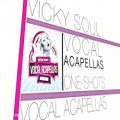 عکس دموی مجموعه سمپل و لوپ وکال و آکاپلا Loopmasters Vickysoul Vocal Acapellas