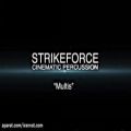 عکس Strikeforce Multis