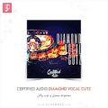 عکس دموی مجموعه لوپ وکال Certified Audio Diamond Vocal Cutz