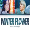 عکس younha winter flower feat rm of (BTS) lyrics آهنگ گل زمستانی از آر ام و یونها