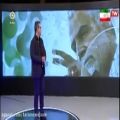 عکس ترنم جام - خواننده محمد فرشته نژاد