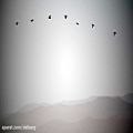 عکس Bedouin - Flight Of Birds (Original Mix)