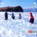 عکس اجرای موسیقی زنده با یخ