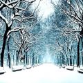 عکس موزیک ویدیوی زمستانی بسیار زیبا