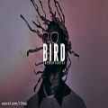 عکس Bird_ Instrumental (Hip Hop_Trap Type Beat)