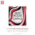عکس دموی مجموعه سمپل و لوپ Little Bit Deep House and Garage