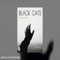 عکس Black Cats - Bavar Kon OFFICIAL TRACK _ بلک کتس - باور كن(240P)