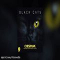 عکس Black Cats - Cheshmak OFFICIAL TRACK _ چشمك - بلك كتس(240P)