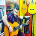عکس پلنگ صورتی با گیتار توسط مصطفی مزینی نژاد