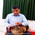 عکس جناب عادل تاجیک با ساز میرزاخانی