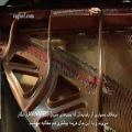 عکس پیانوهای جدید یانگ چانگ با طراحی نوین دلوین دی فندریچ