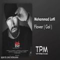 عکس Mohammad Lotfi - Flower (محمد لطفی - گل)